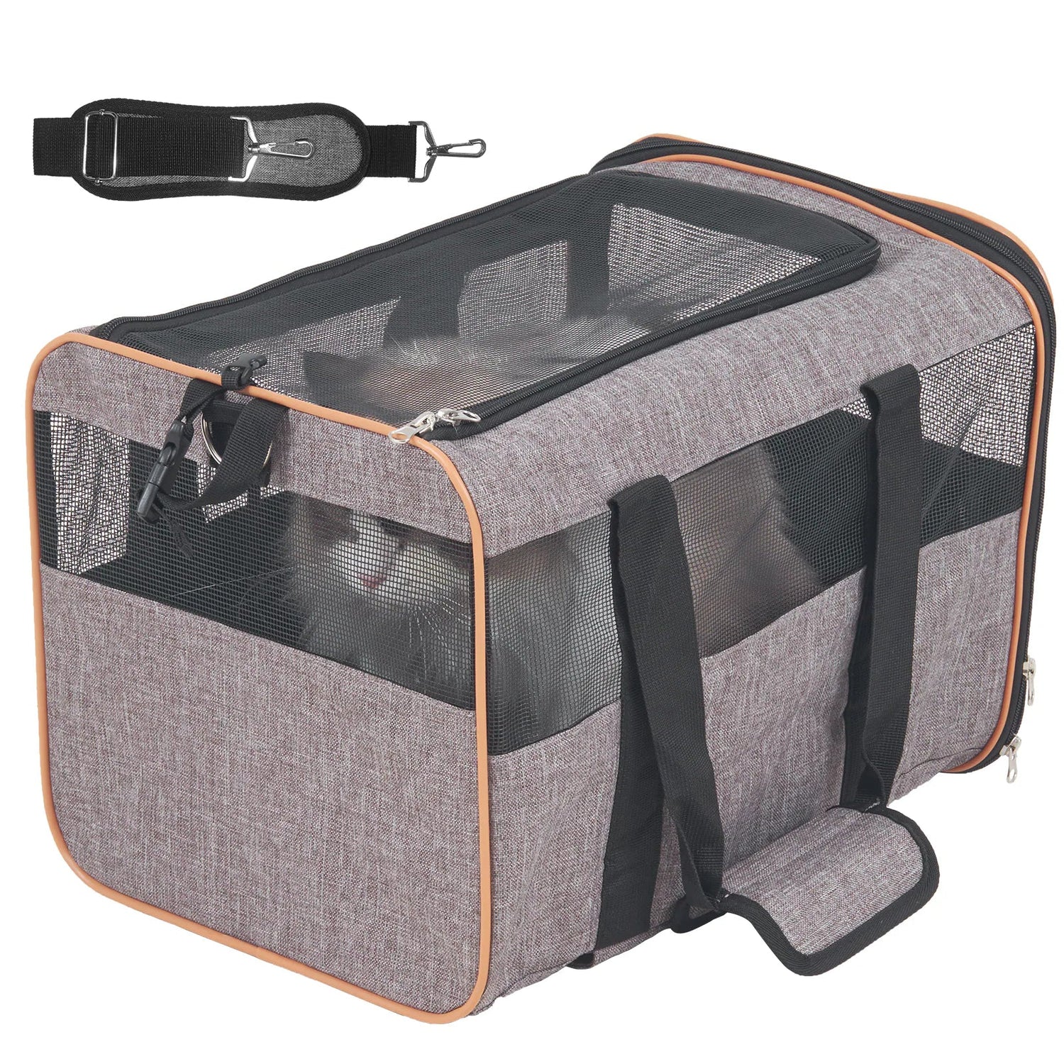 Travel/Carriers
