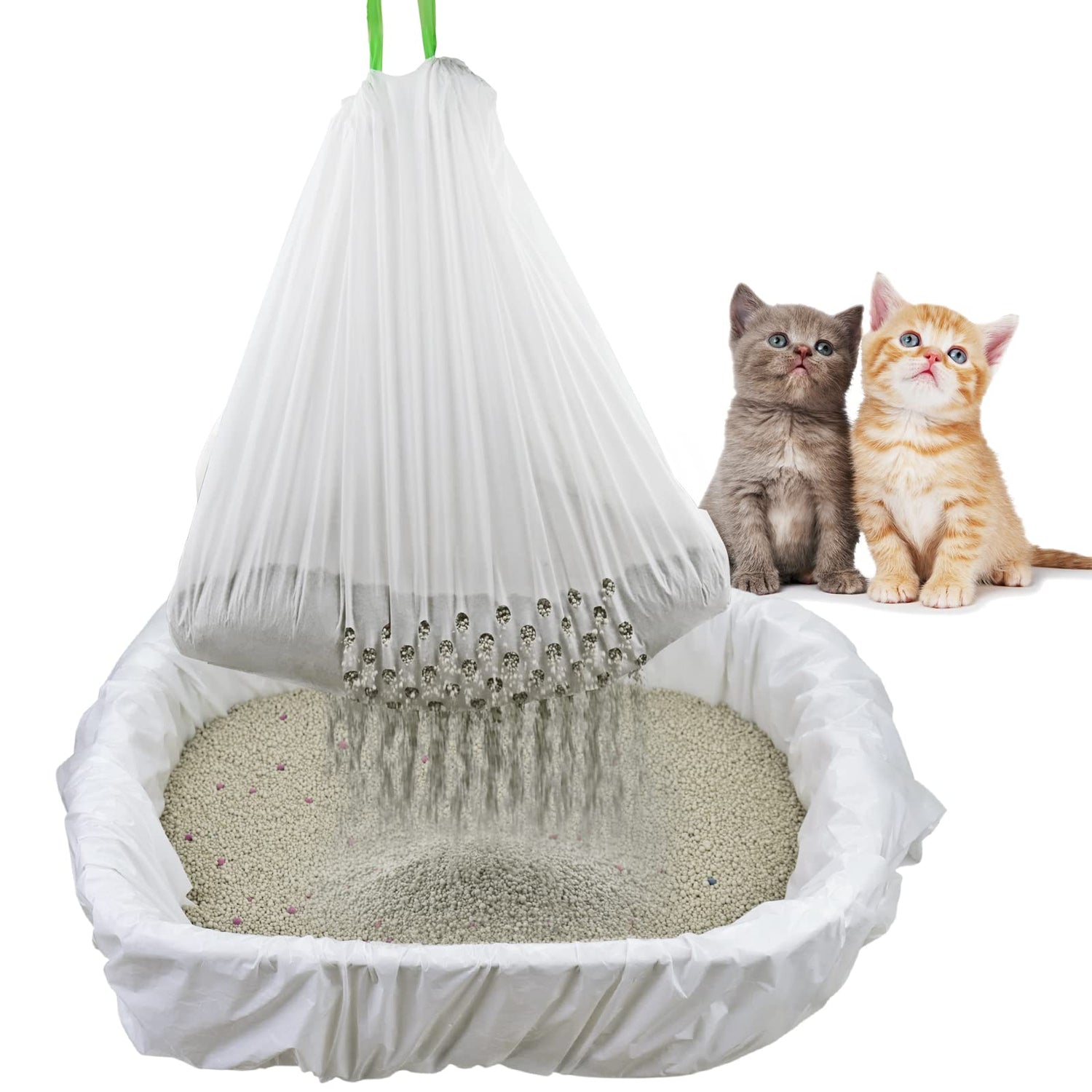 Cat Litter & Cleaning